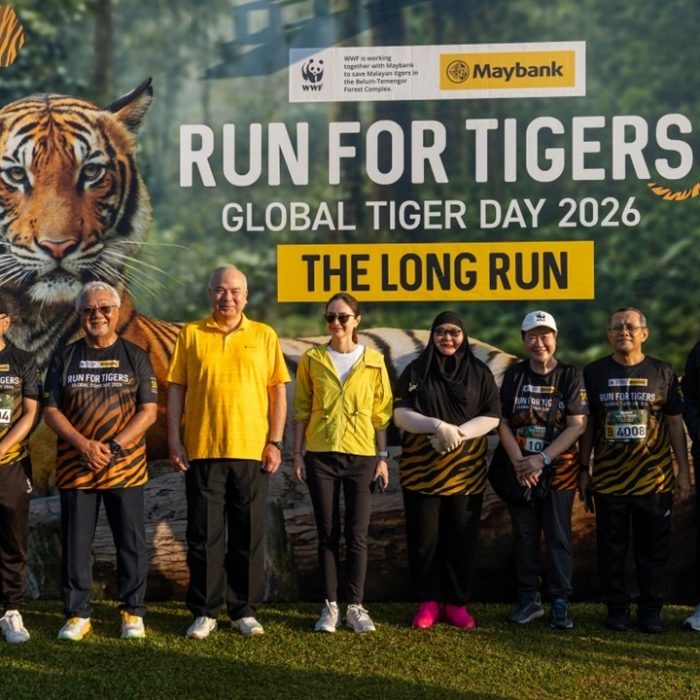 Run_for_Tigers_2026_pic_1.jpg